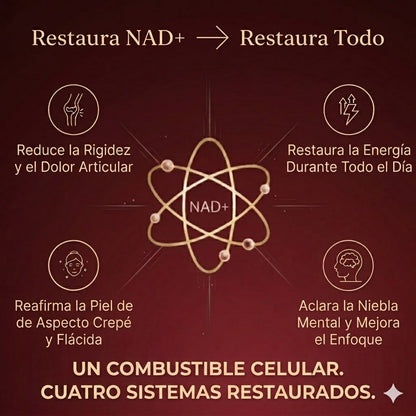 CelluNAD™ — Fórmula de Movimiento Articular (Recupera tu movilidad en 60 días)